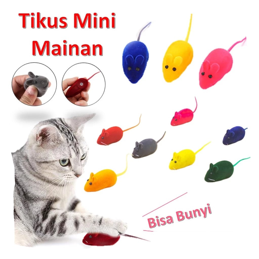 Mainan Favorit Kucing